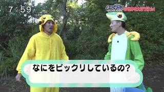 Pikachu meeting Snivy.