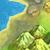 Super MD - Little Canyon Location Icon.png
