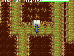 File:Rescue Team - Dive HM Location.png