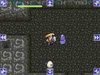Shiren 1 DS - Siliconera interview example 1.jpg