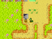 Image for Tiny Woods