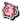 Rescue Team DX - Clefairy.png