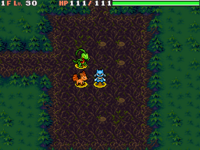 Image for Dusk Forest