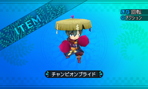 誇り高き王者の愛用グローブ