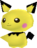 Pichu's model.